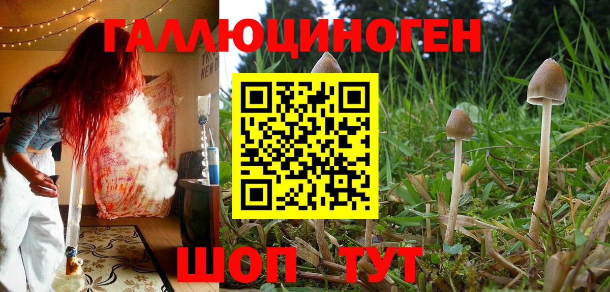 Галлюциногенные грибы MAGIC MUSHROOMS  Вход с VPN  Омск 