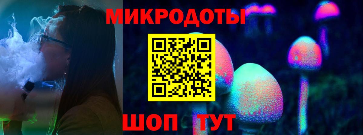 Галлюциногенные грибы Psilocybe Омск